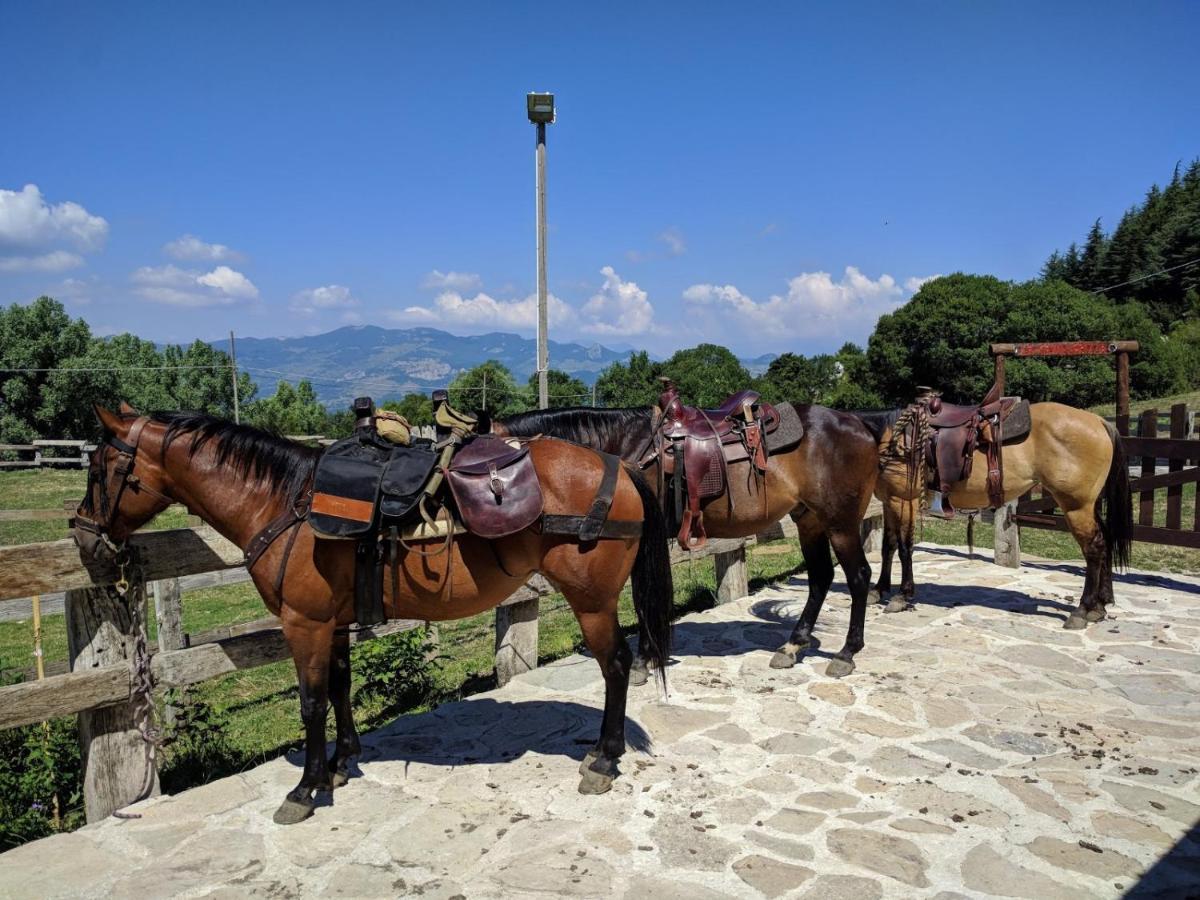 Hotel Capracotta Εξωτερικό φωτογραφία